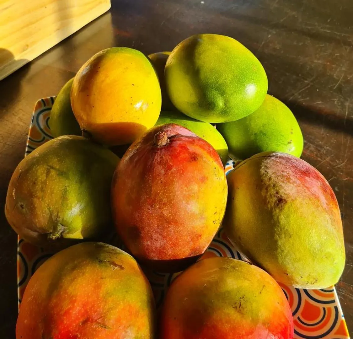 Kaapalua Διαμέρισμα Pôrto das Galinhas